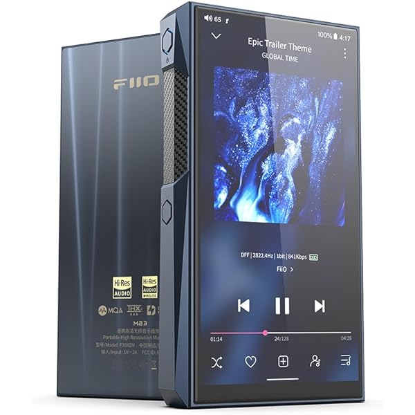 Amazon.com: WERJIA Hard Carrying Case Compatible with FiiO M11Plus